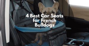 4 Best Car Seats for French Bulldogs