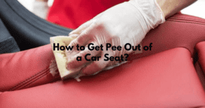 How to get pee out of the car seat
